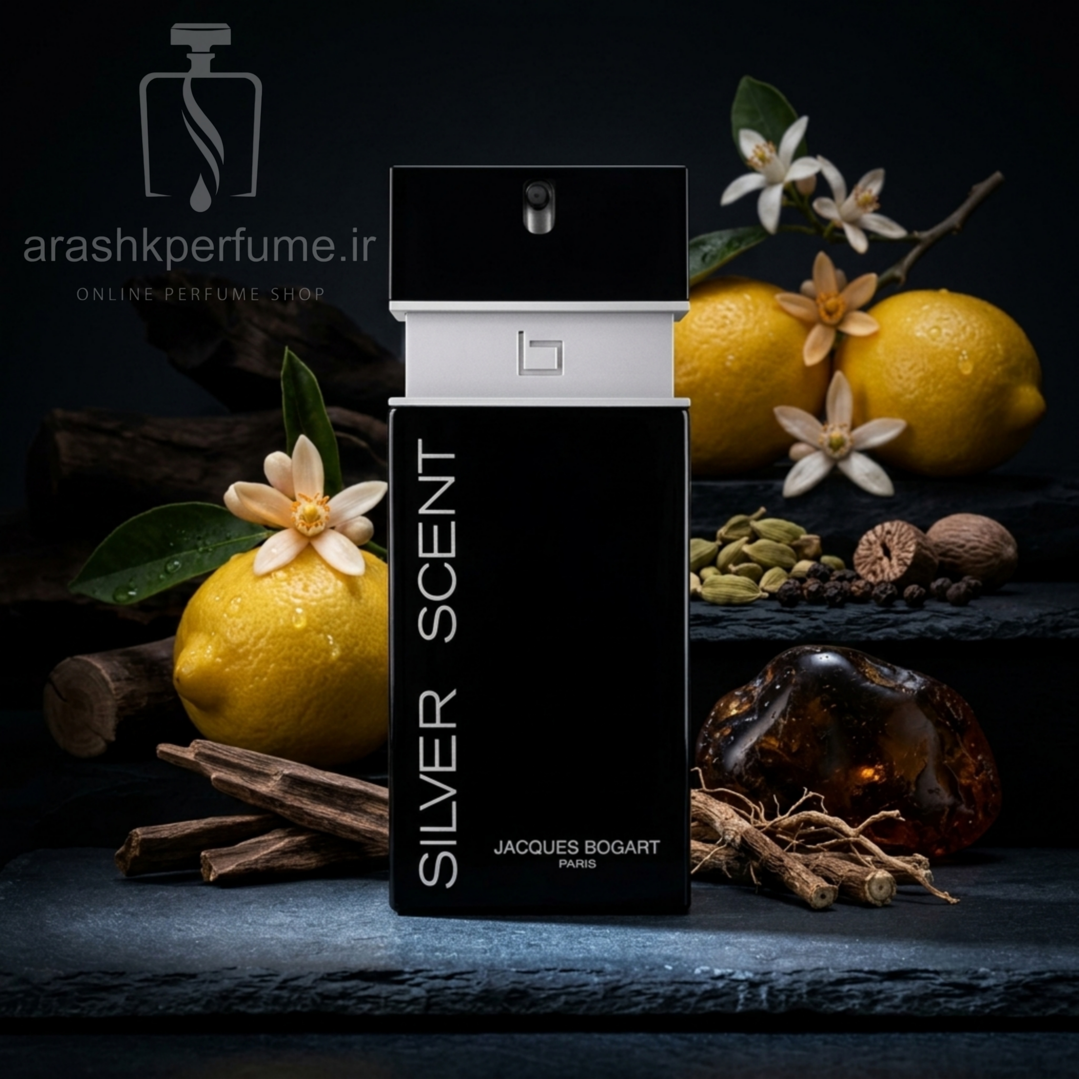 سیلور سنت جکس بوگارت  |  Jacques Bogart Silver Scent